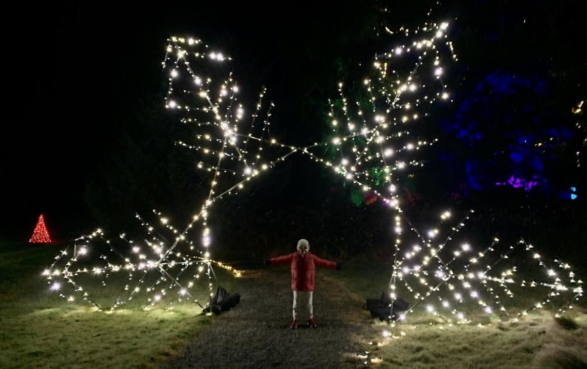 boy standing under star shaped light display at Dazzle Maple Valley near seattle